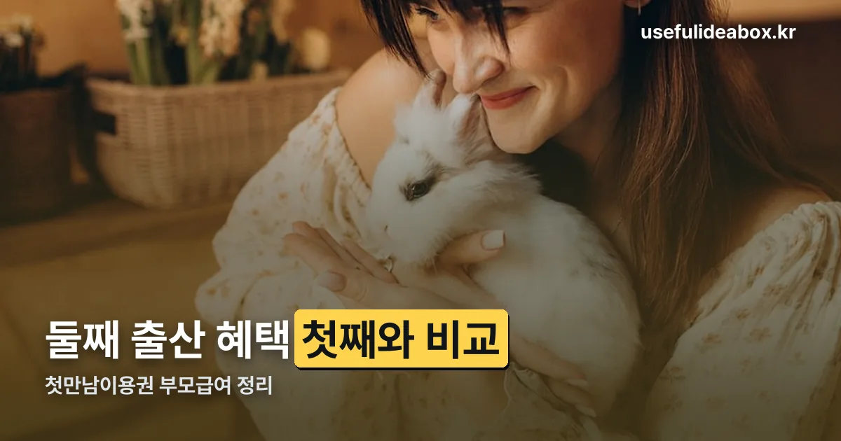 둘째 정리 썸네일