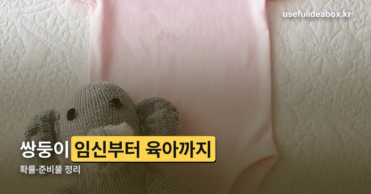 쌍둥이 정리 썸네일