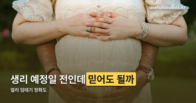 얼리 임테기 정확도 정리 썸네일