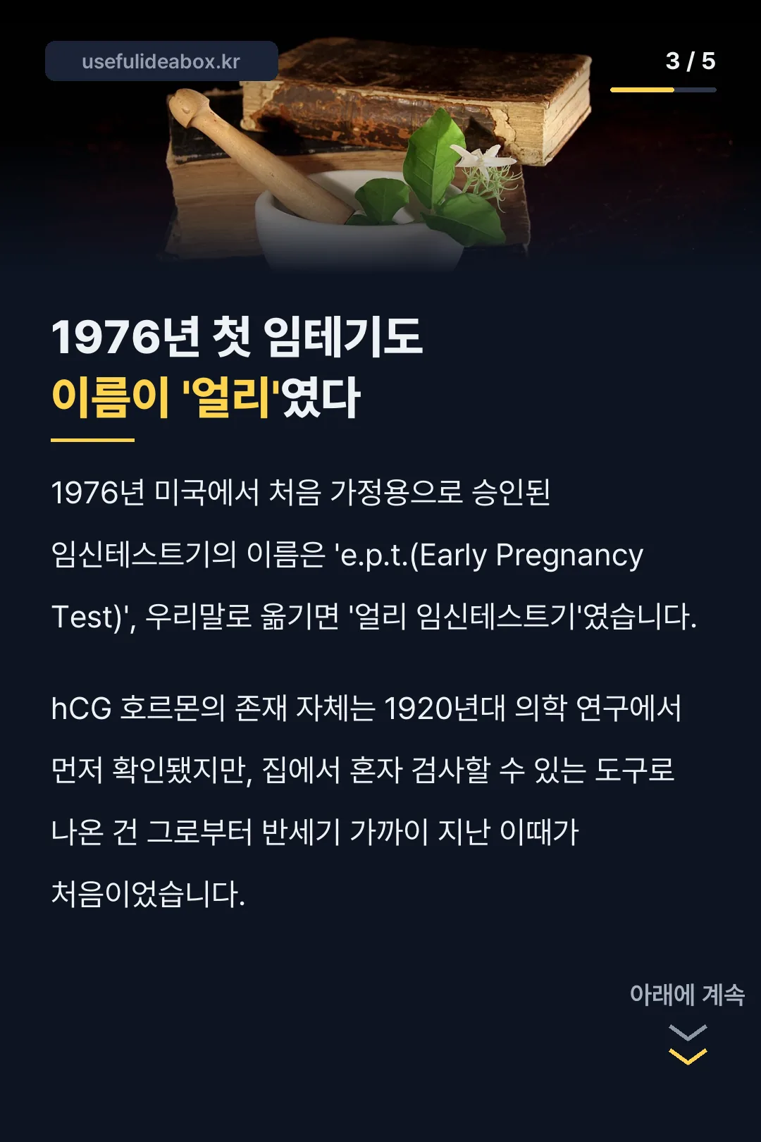 1976년 최초 임테기 이름 유래