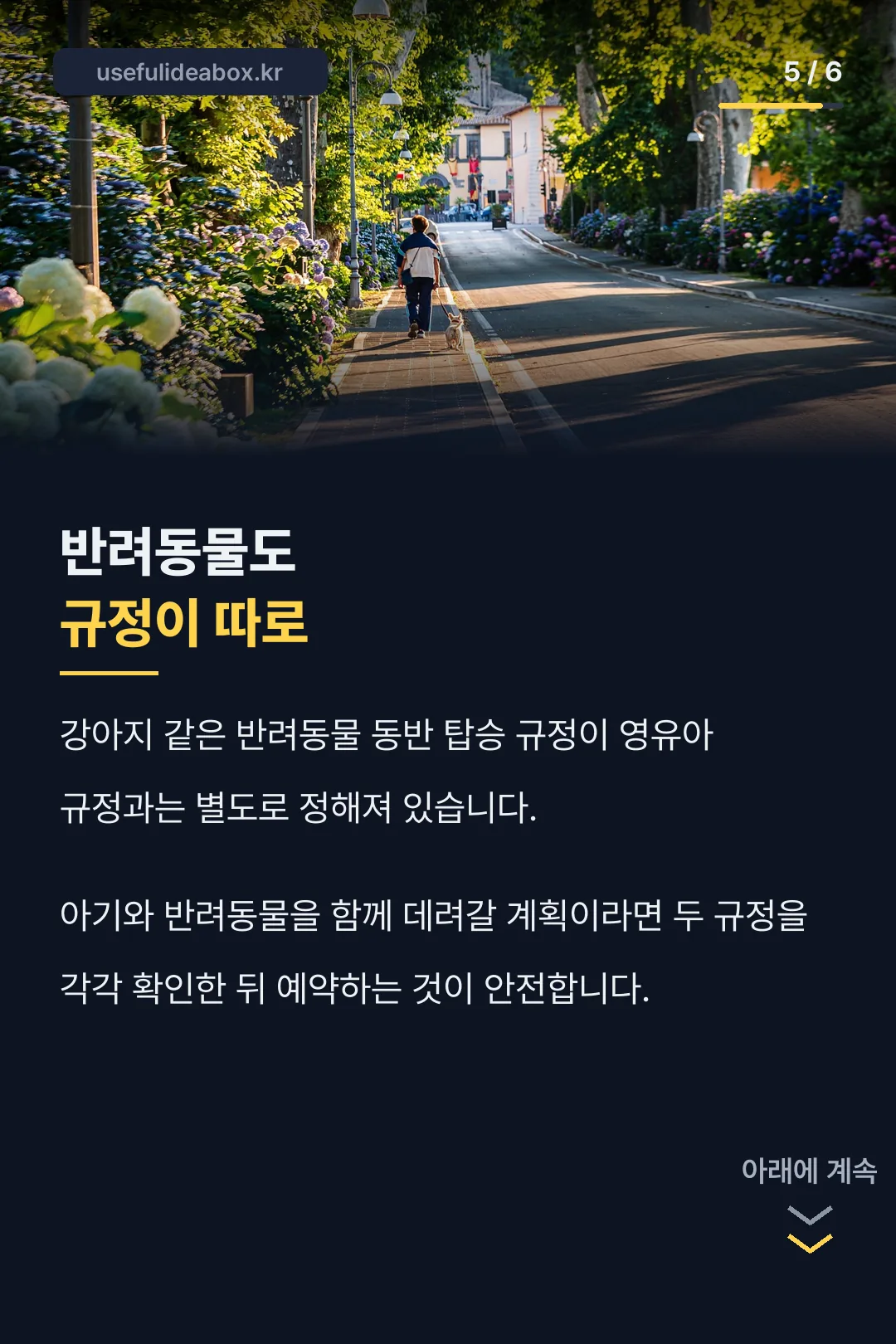 반려동물 동반 규정