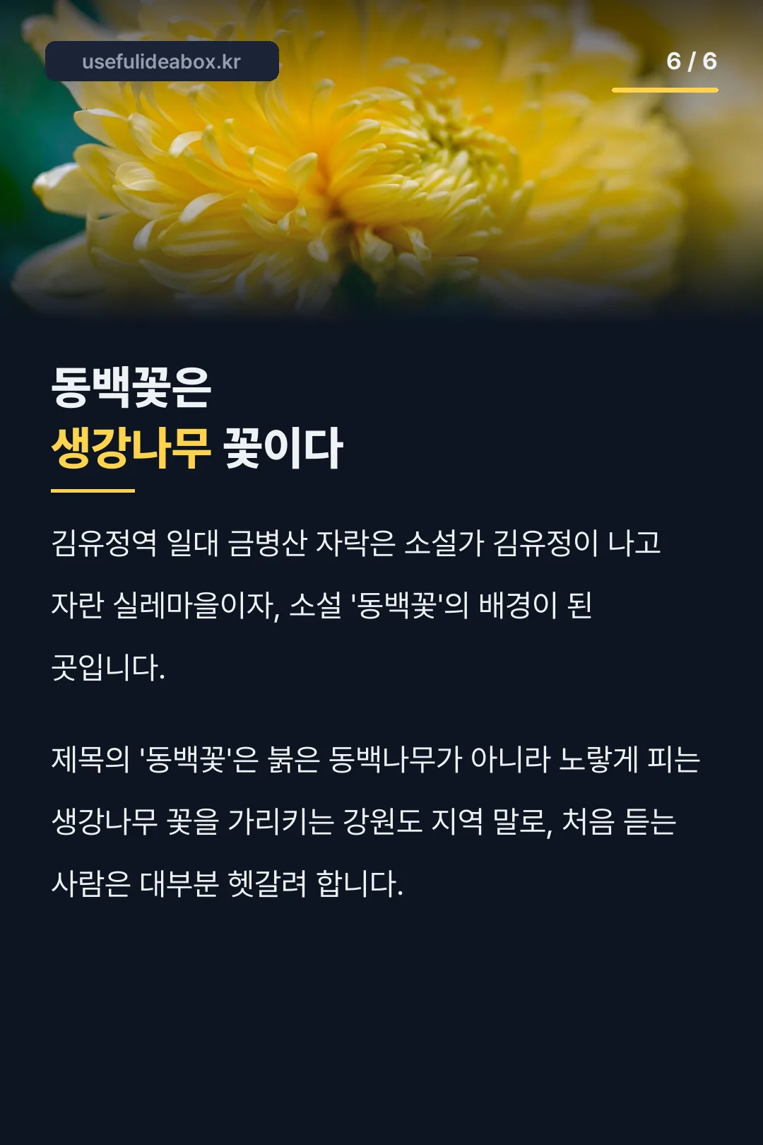 동백꽃은 생강나무
