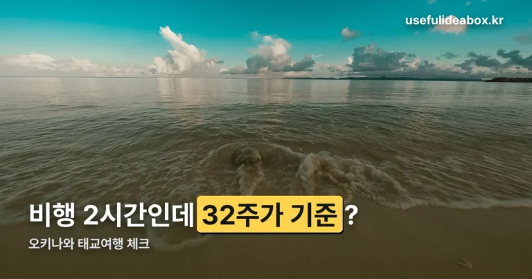 11월 오키나와 태교여행 정리 썸네일