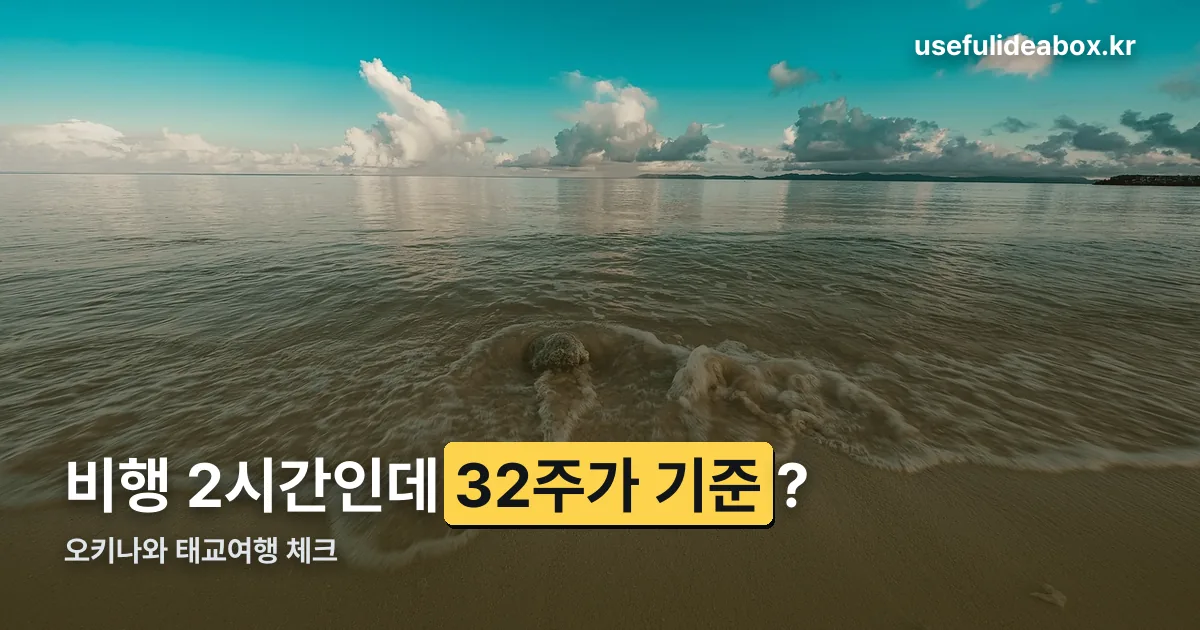 11월 오키나와 태교여행 정리 썸네일